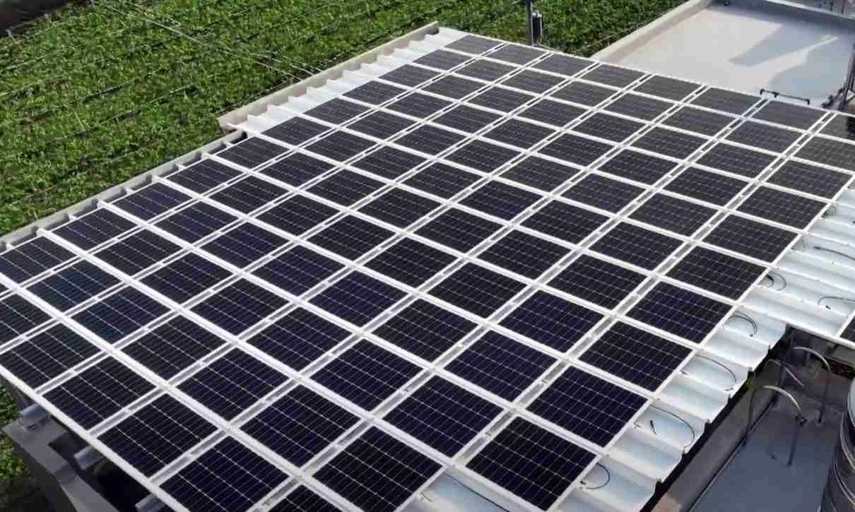 传奇国际SunSteel光电浪板升级双玻结构，，，，以提升机械负载强度及气候耐候度，，，可广泛运用于多元场域